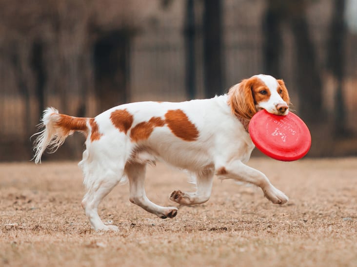 Welcome to Our Madison Clinic